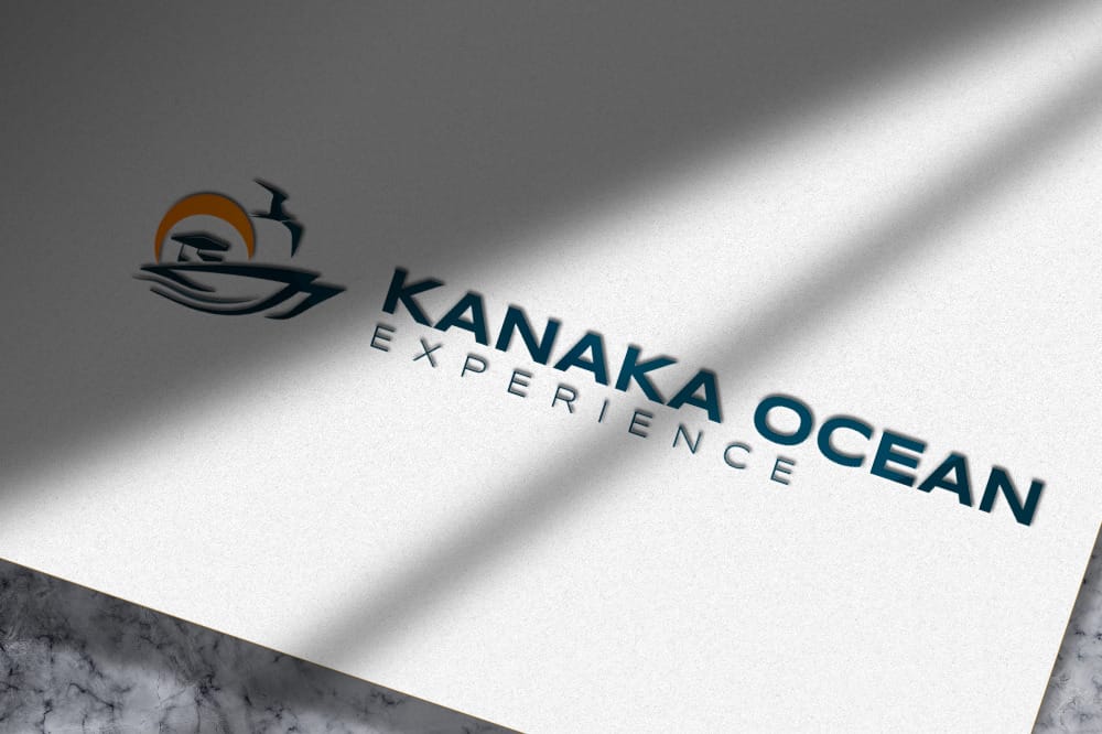 Tour boat company logo design.